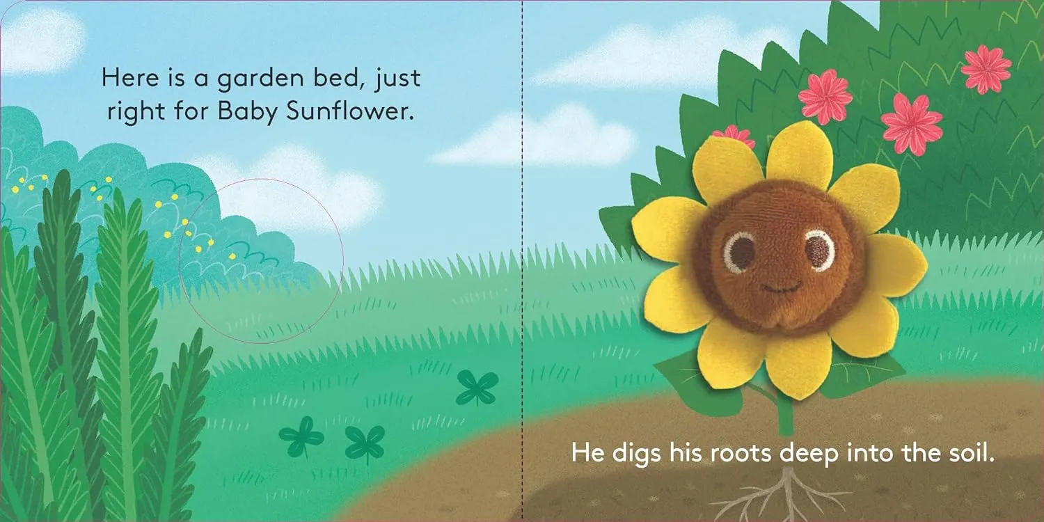 Baby Sunflower