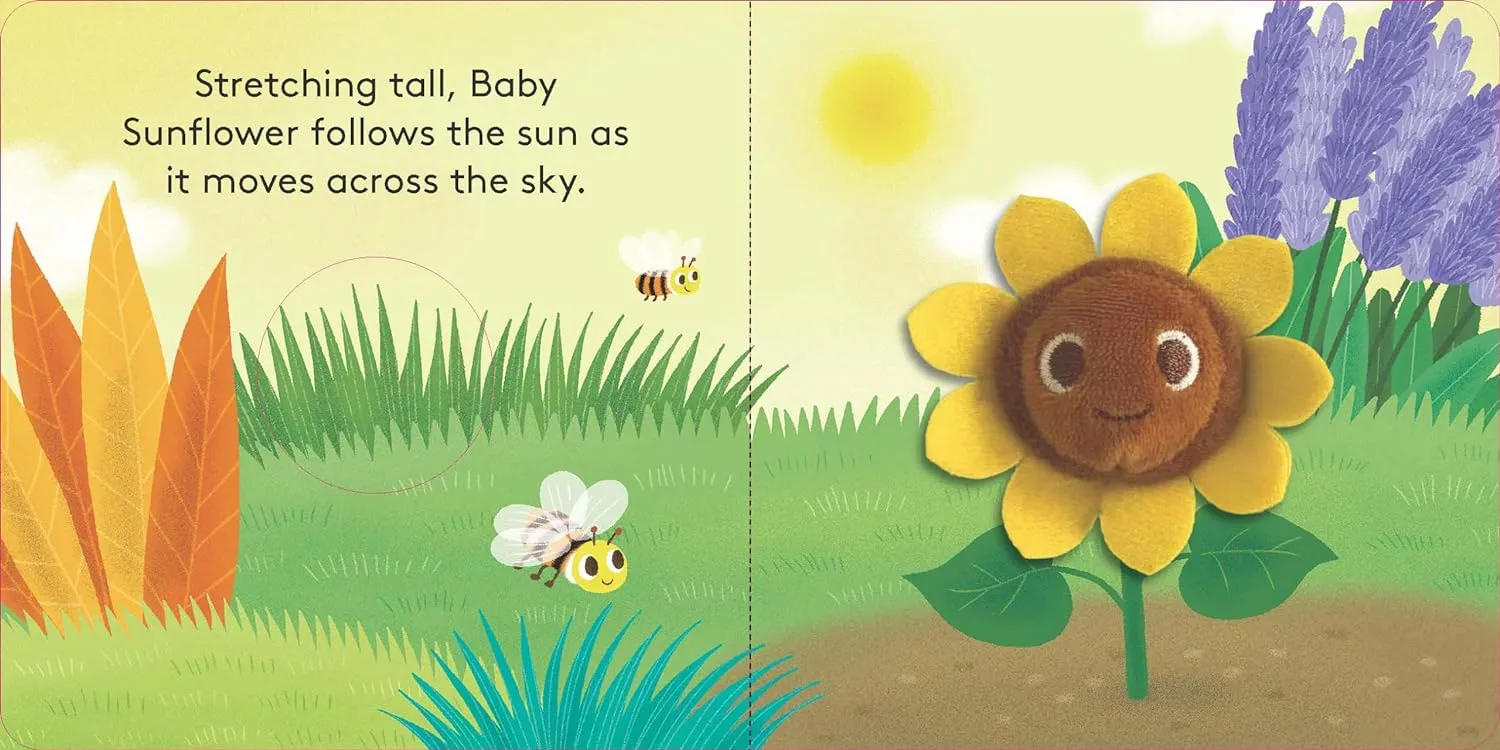 Baby Sunflower