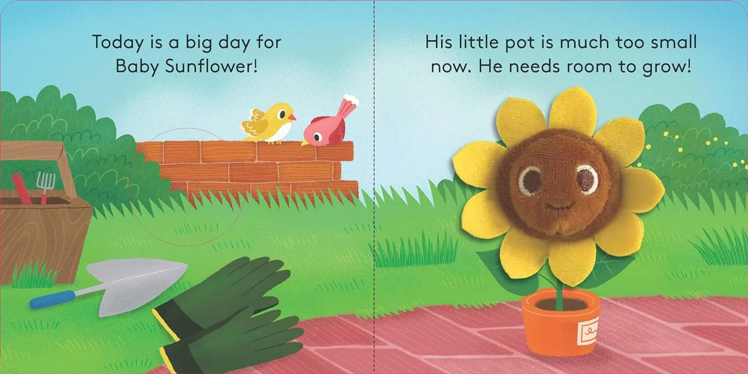 Baby Sunflower