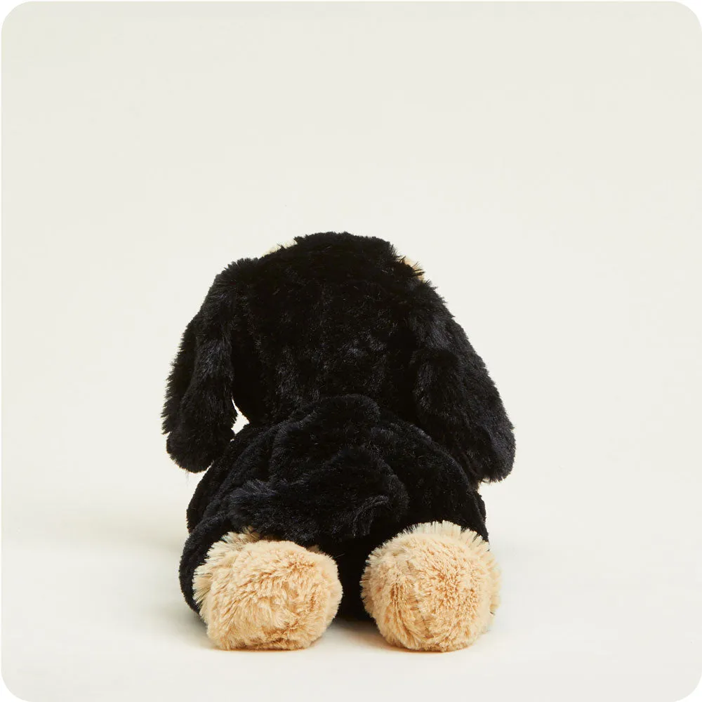 Dachshund Warmies