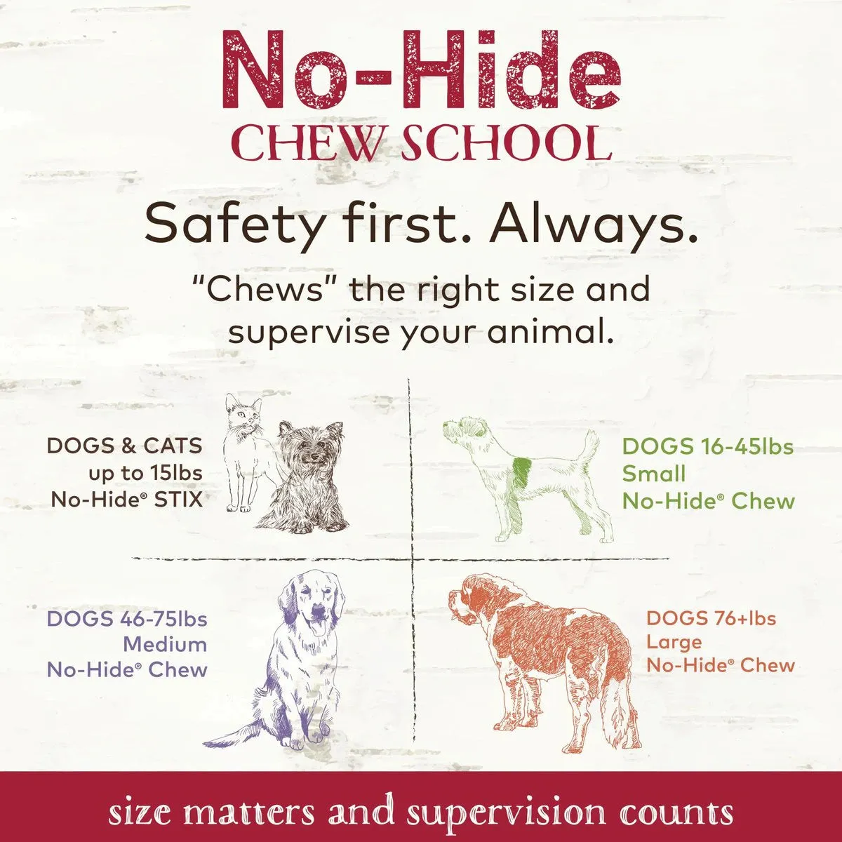 Earth Animal No-Hide Beef Chew 2PK
