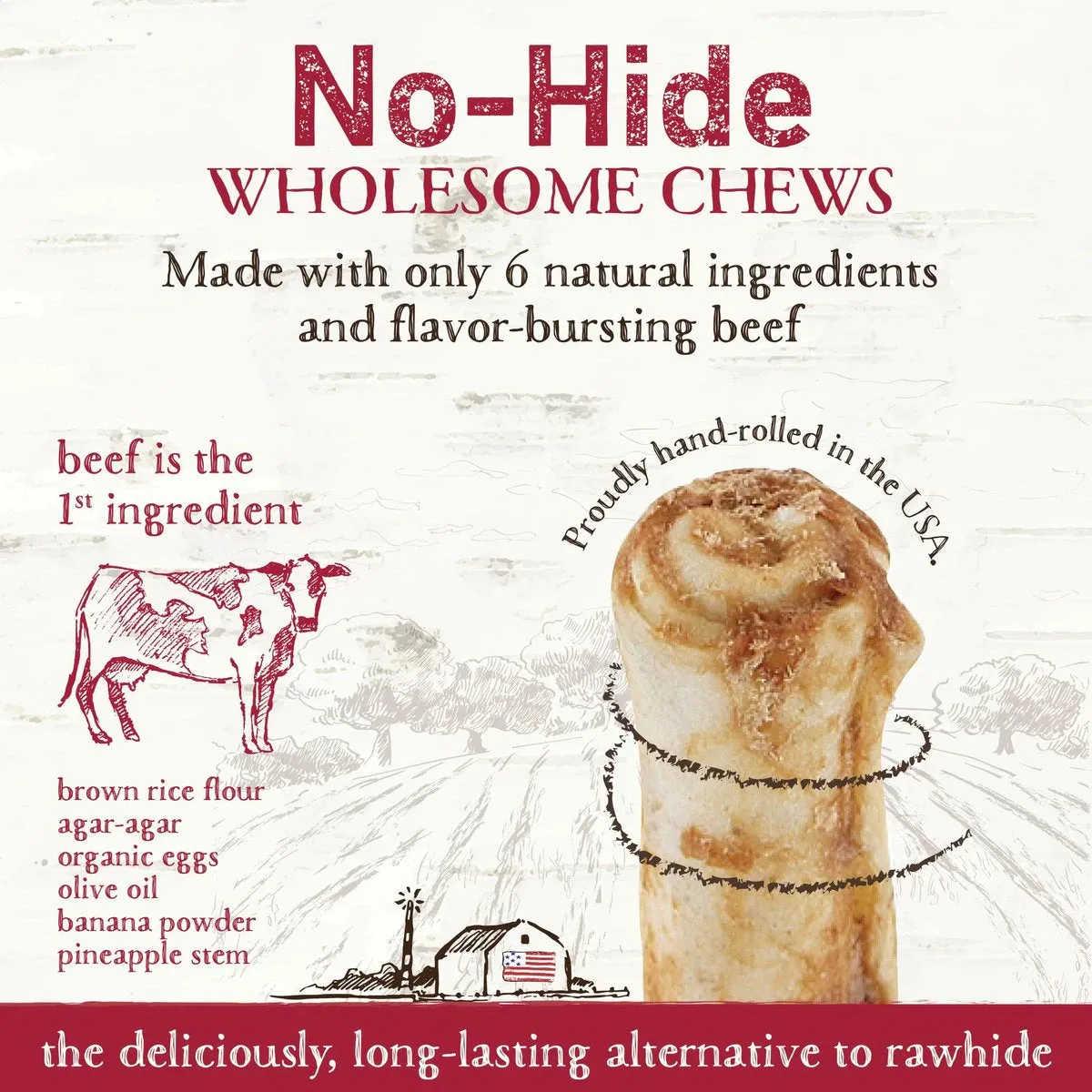 Earth Animal No-Hide Beef Chew 2PK
