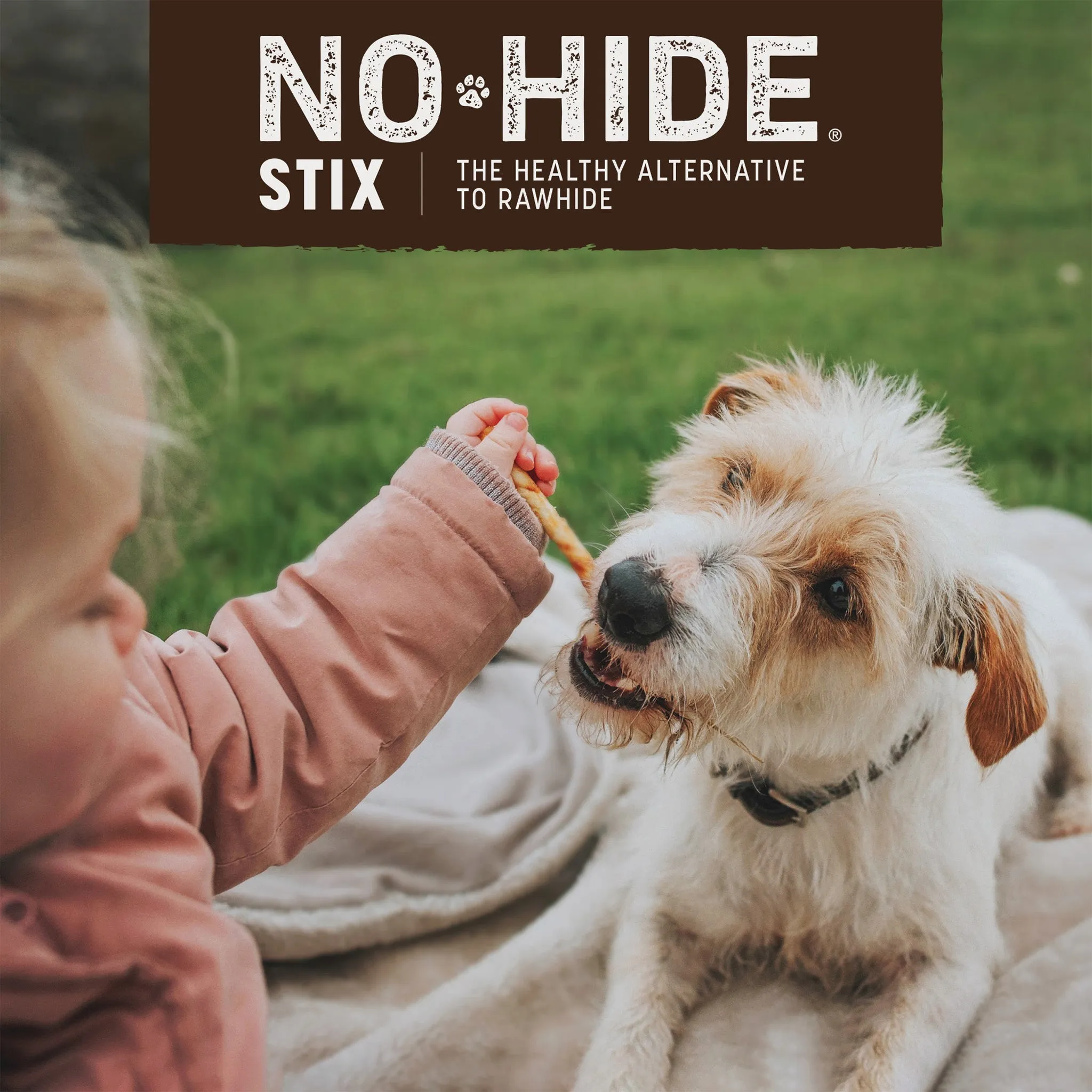 Earth Animal No-Hide Easily Digestible Rawhide Alternative Dog & Cat Stix Chews