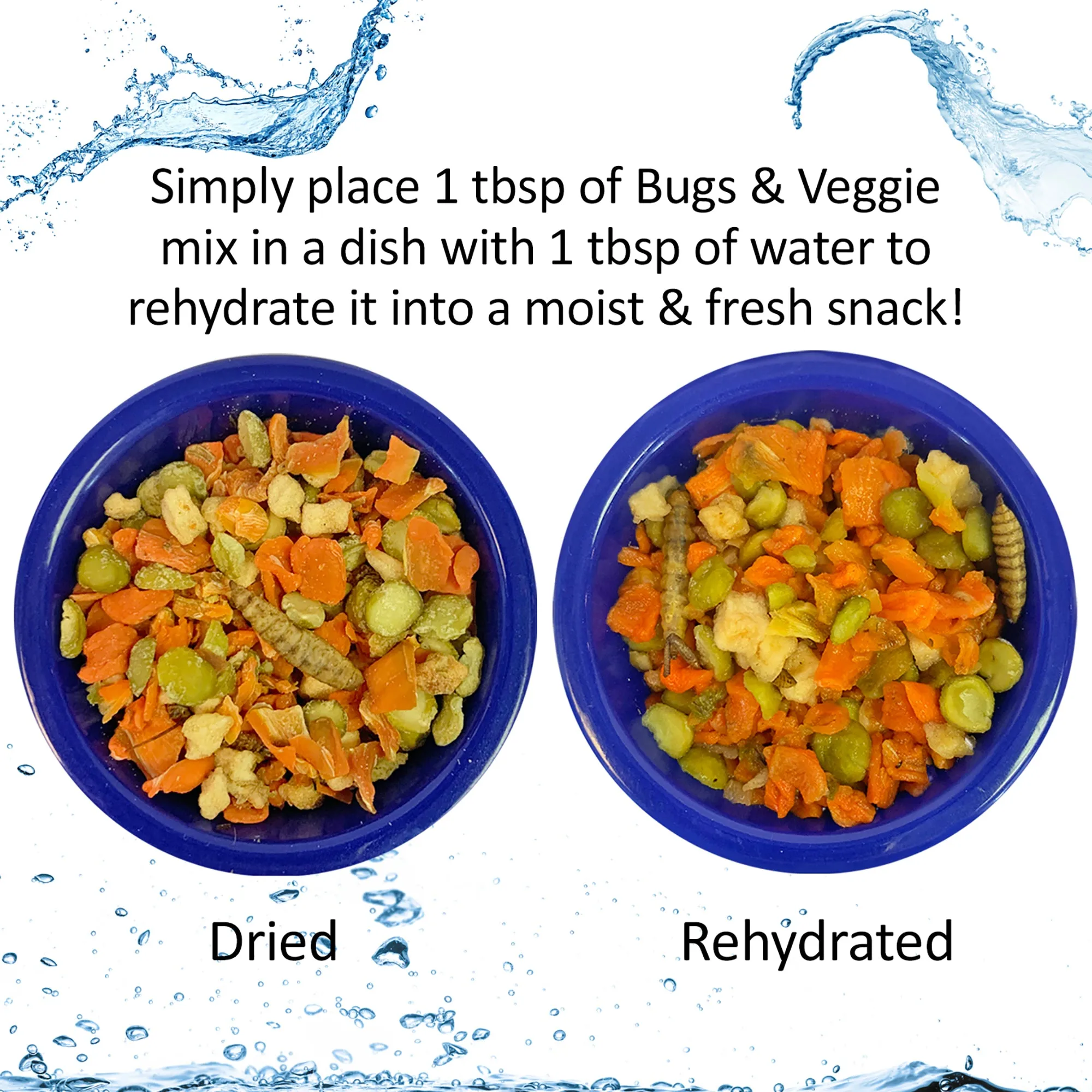 Hedgie Bugs & Veggie