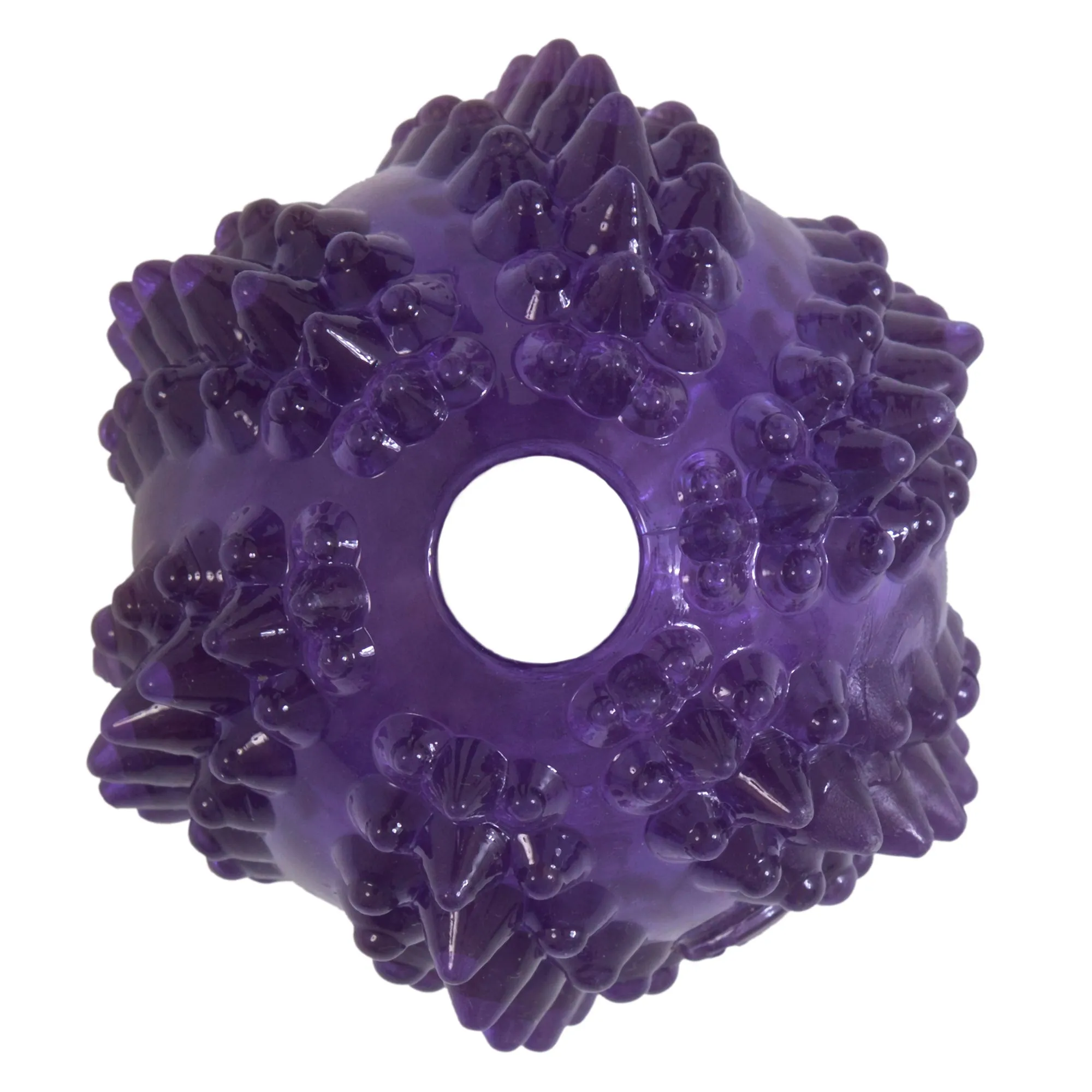 JW Bristl-ee Cactus Ball Puppy Toy