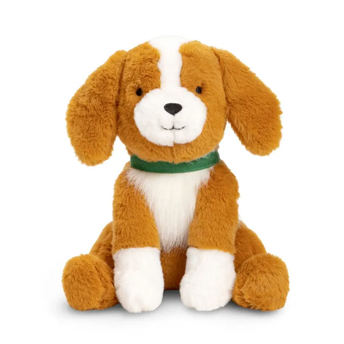 With My Dog - A Picture Book and Plush about Having (and Being!) a Good Friend
